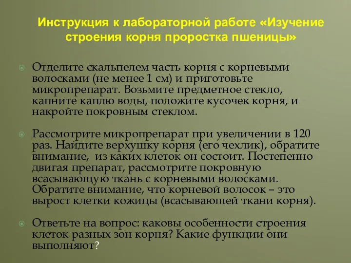 Инструкция к лабораторной работе «Изучение строения корня проростка пшеницы» Отделите