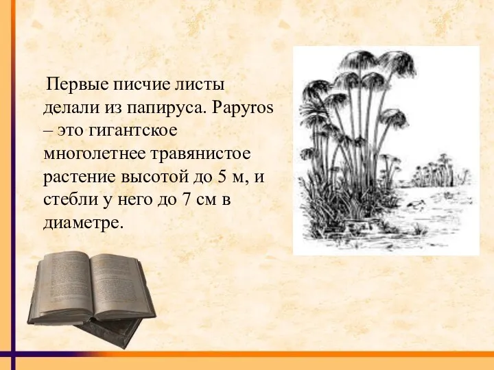 Первые писчие листы делали из папируса. Papyros – это гигантское многолетнее травянистое растение