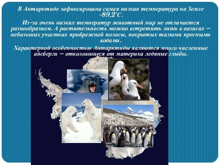 В Антарктиде зафиксирована самая низкая температура на Земле -89,2°С. Из-за очень низких температур