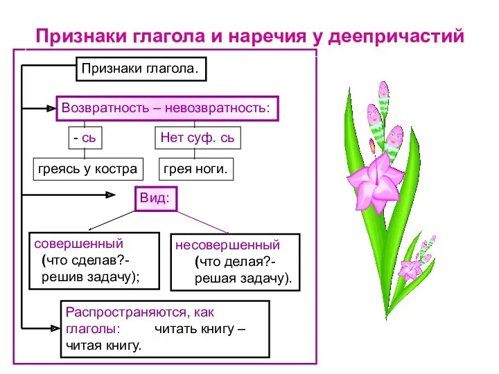 Признаки глагола и наречия у деепричастий Распространяются, как глаголы: читать