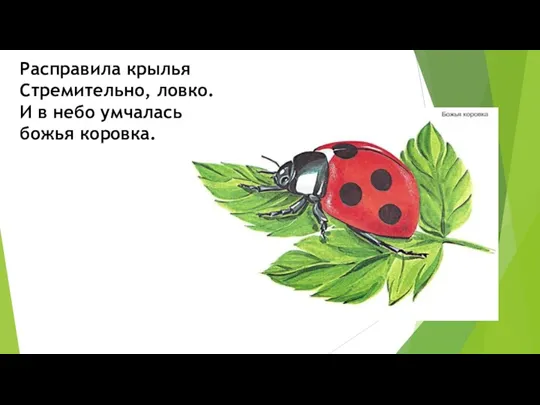 Расправила крылья Стремительно, ловко. И в небо умчалась божья коровка.