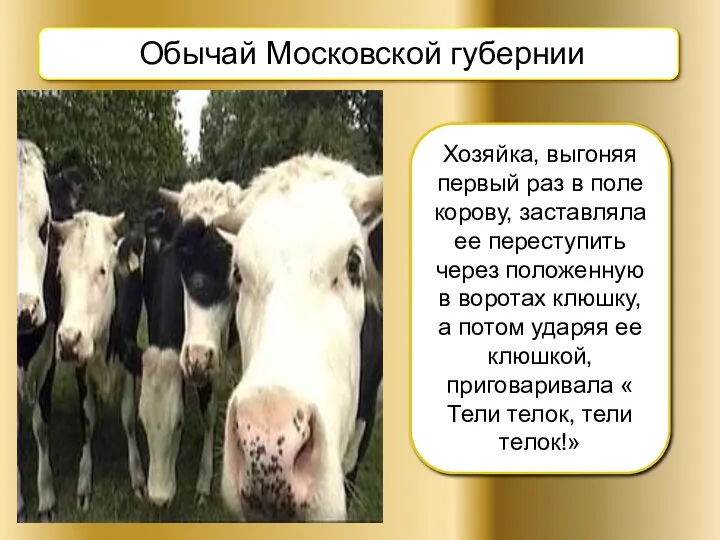 Обычай Московской губернии Хозяйка, выгоняя первый раз в поле корову,
