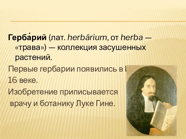 Герба́рий (лат. herbárium, от herba — «трава») — коллекция засушенных