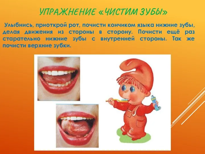 Упражнение «Чистим зубы» Улыбнись, приоткрой рот, почисти кончиком языка нижние