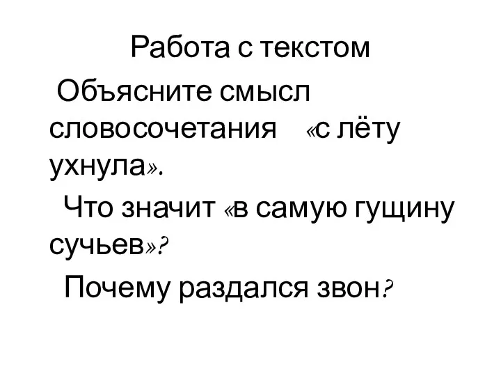 Работа с текстом Объясните смысл словосочетания «с лёту ухнула». Что