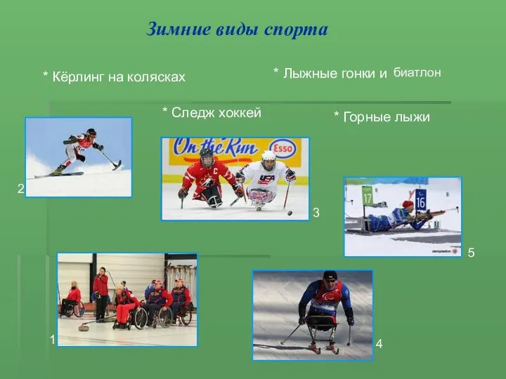 Зимние виды спорта * Лыжные гонки и * Горные лыжи