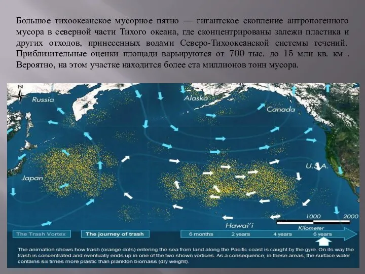 Большое тихоокеанское мусорное пятно — гигантское скопление антропогенного мусора в