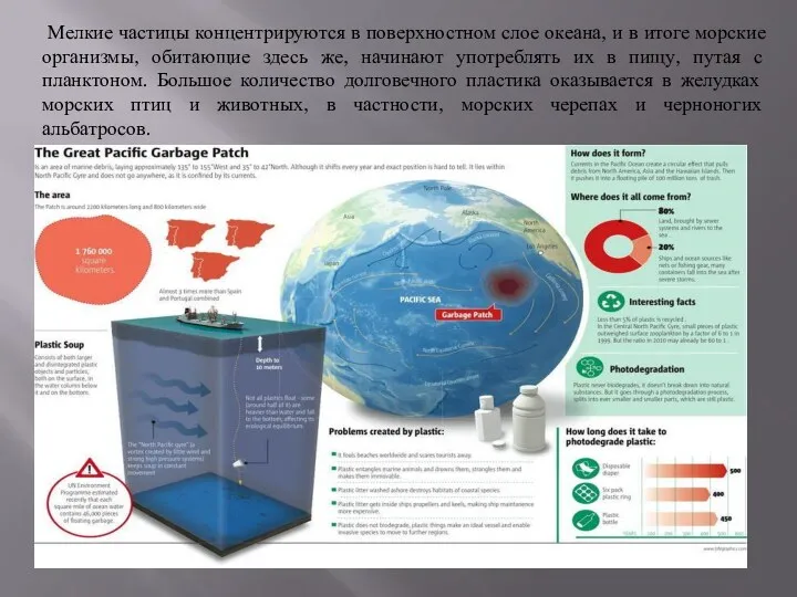 Мелкие частицы концентрируются в поверхностном слое океана, и в итоге морские организмы, обитающие