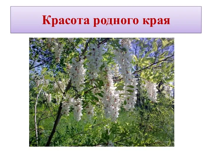 Красота родного края