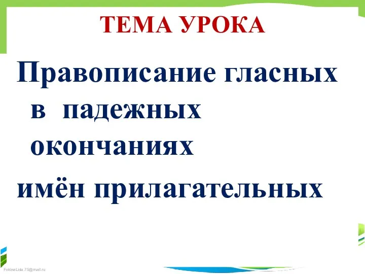 ТЕМА УРОКА Правописание гласных в падежных окончаниях имён прилагательных