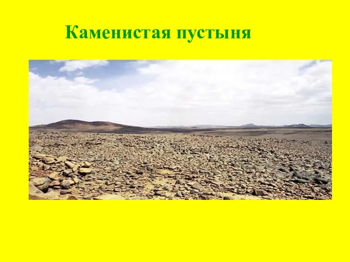 Каменистая пустыня