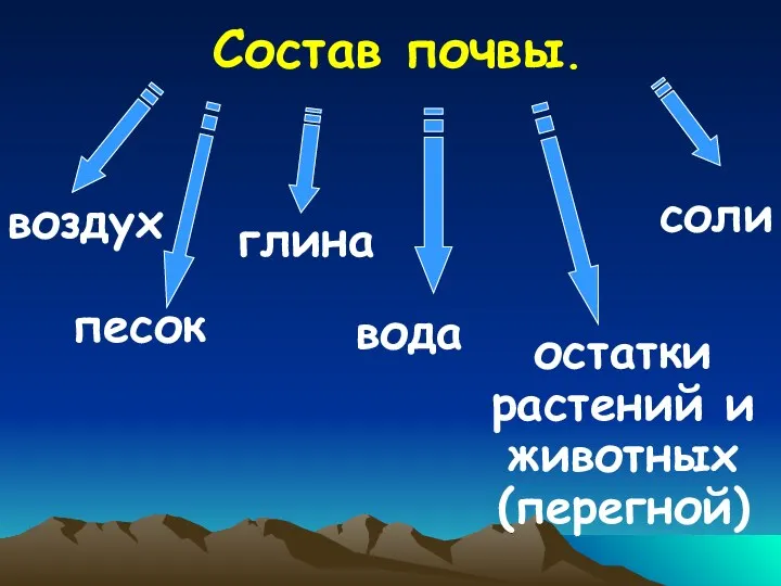 Состав почвы. воздух песок глина вода остатки растений и животных (перегной) соли