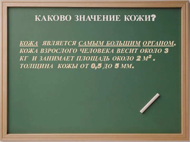 КАКОВО ЗНАЧЕНИЕ КОЖИ? КОЖА ЯВЛЯЕТСЯ САМЫМ БОЛЬШИМ ОРГАНОМ. КОЖА ВЗРОСЛОГО