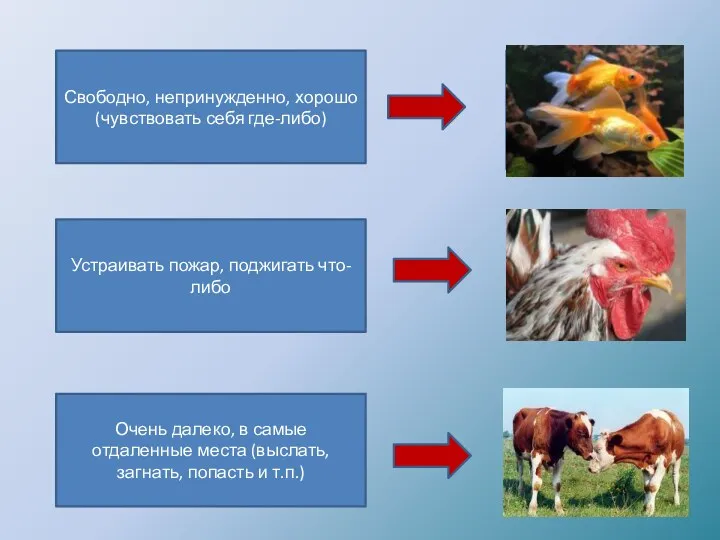 Свободно, непринужденно, хорошо (чувствовать себя где-либо) Очень далеко, в самые