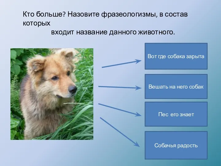 Кто больше? Назовите фразеологизмы, в состав которых входит название данного