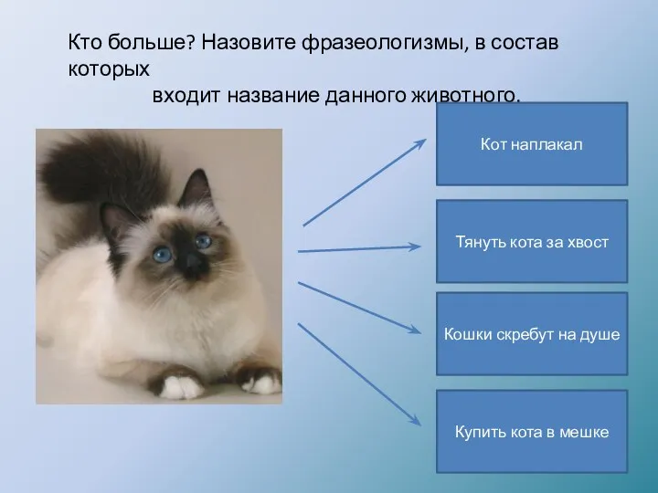 Кто больше? Назовите фразеологизмы, в состав которых входит название данного