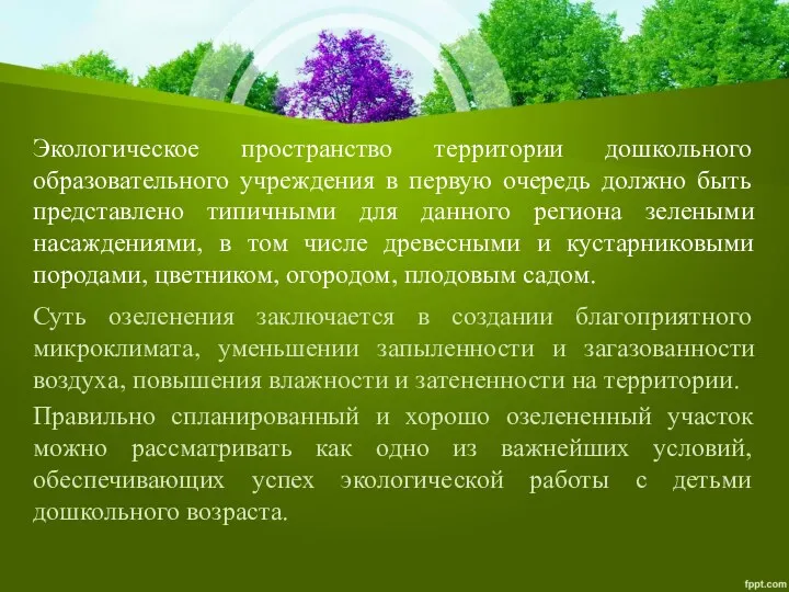 Экологическое пространство территории дошкольного образовательного учреждения в первую очередь должно