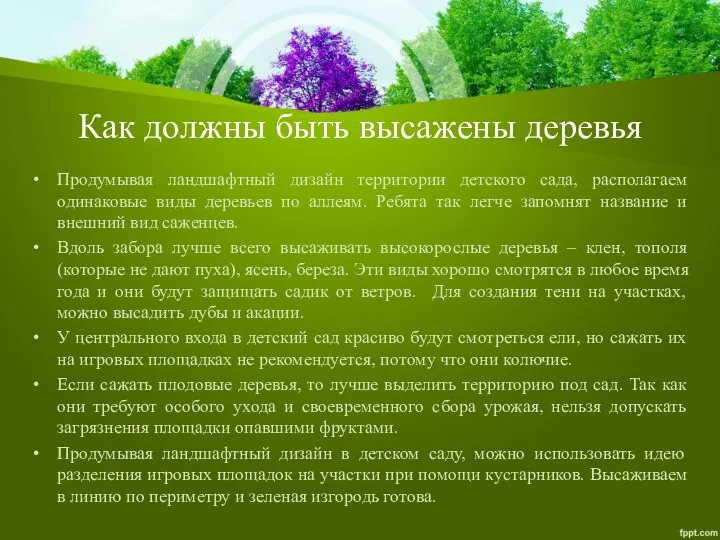 Как должны быть высажены деревья Продумывая ландшафтный дизайн территории детского