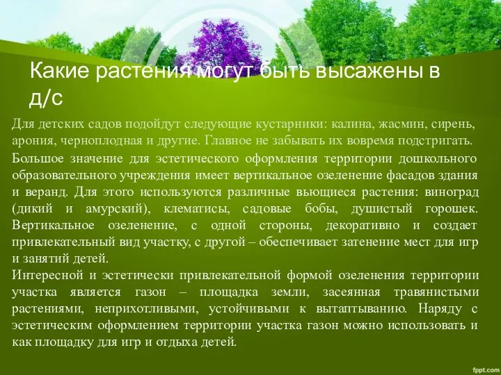 Какие растения могут быть высажены в д/с Для детских садов