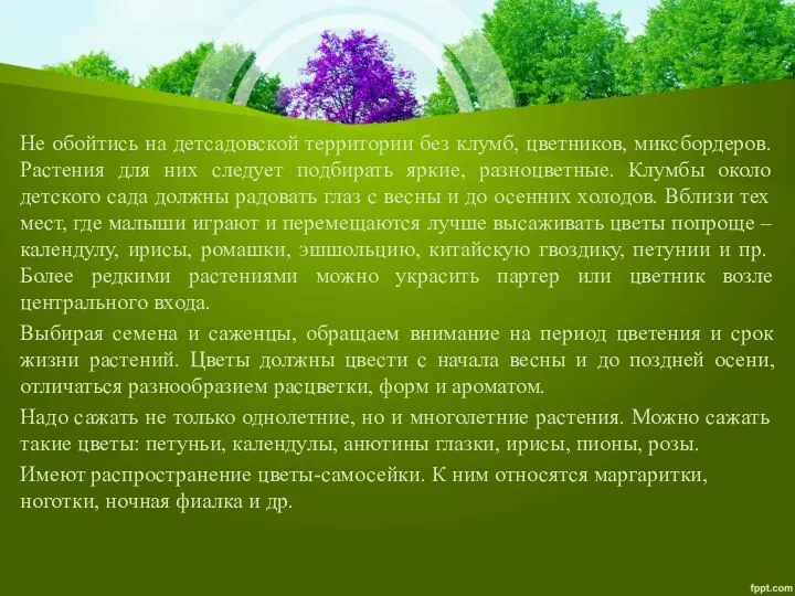 Не обойтись на детсадовской территории без клумб, цветников, миксбордеров. Растения