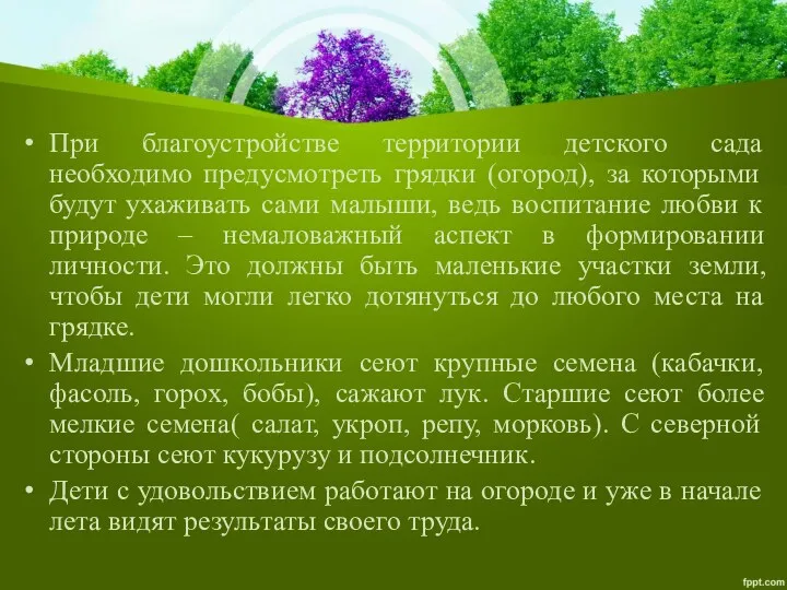 При благоустройстве территории детского сада необходимо предусмотреть грядки (огород), за