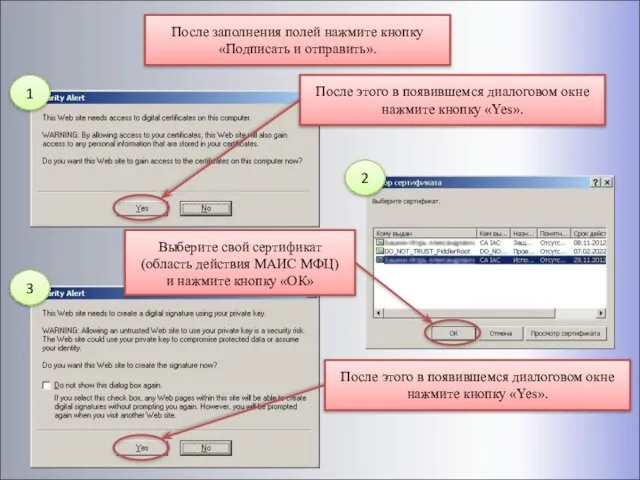 После заполнения полей нажмите кнопку «Подписать и отправить». После этого