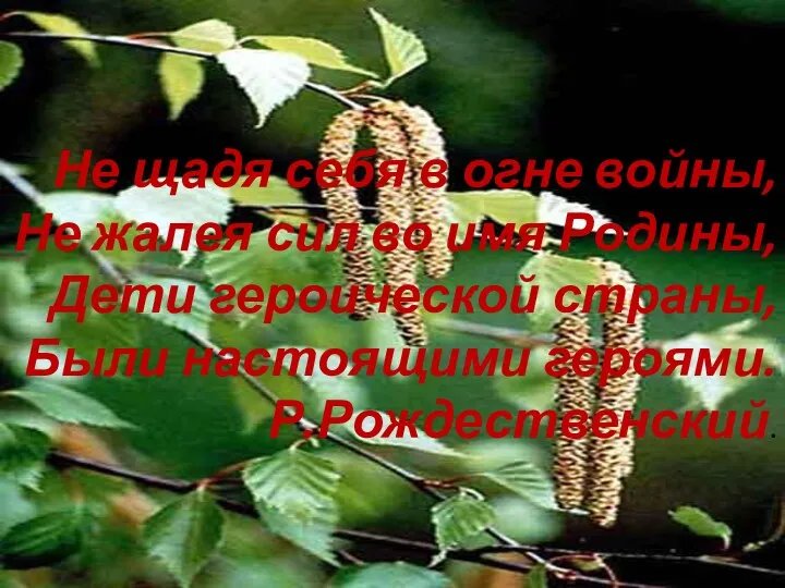 Не щадя себя в огне войны, Не жалея сил во