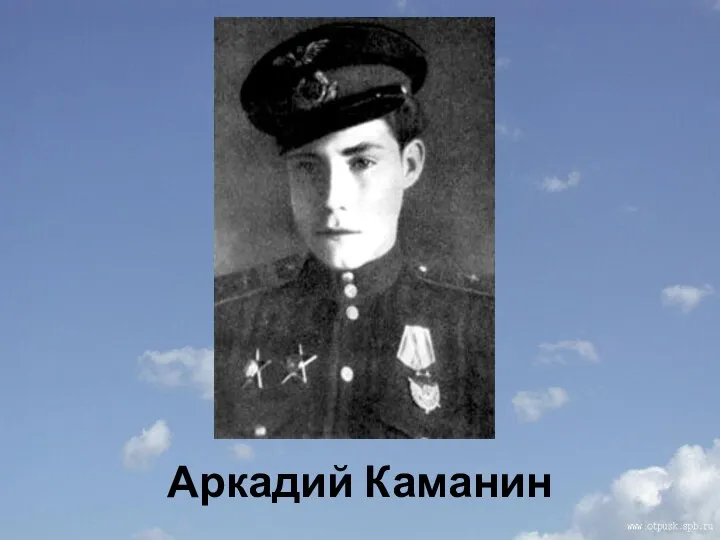 Аркадий Каманин
