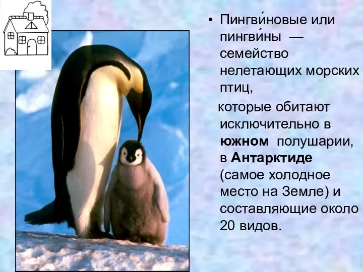 Пингви́новые или пингви́ны — семейство нелетающих морских птиц, которые обитают исключительно в южном