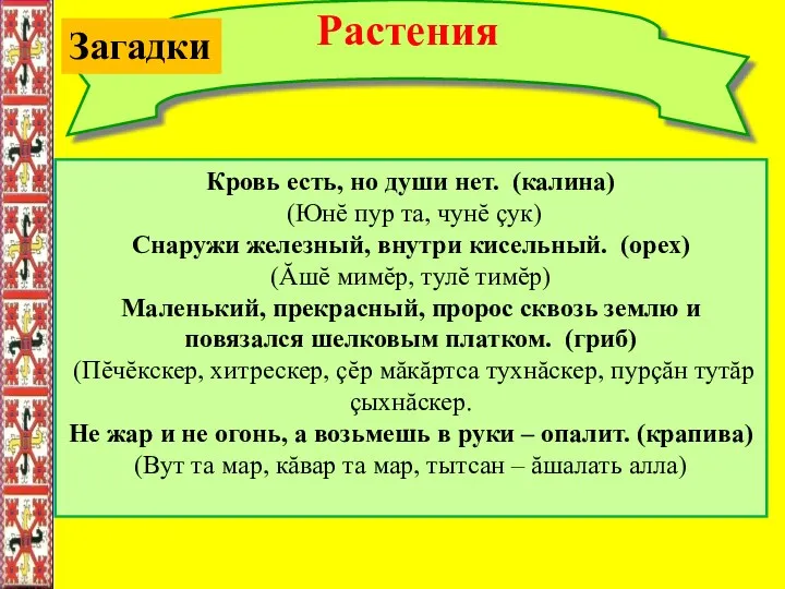 Растения Кровь есть, но души нет. (калина) (Юнĕ пур та,