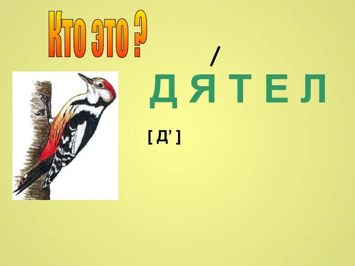 Д Я Т Е Л [ Д’ ] Кто это ?