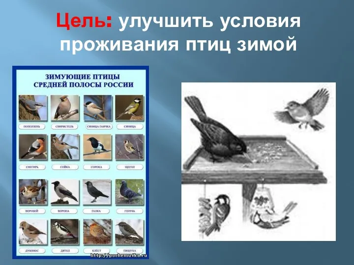Цель: улучшить условия проживания птиц зимой