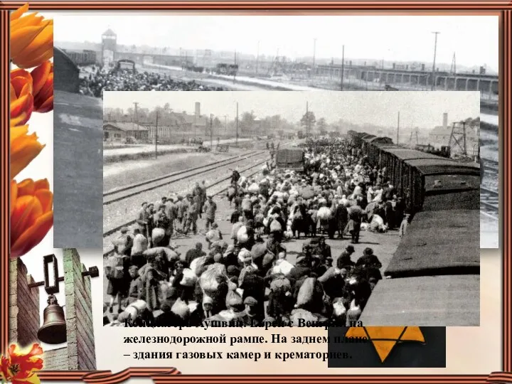 Концлагерь Аушвиц. Евреи с Венгрии на железнодорожной рампе. На заднем плане – здания
