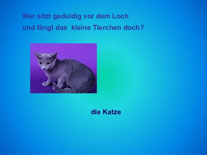 Wer sitzt geduldig vor dem Loch und fӓngt das kleine Tierchen doch? die Katze