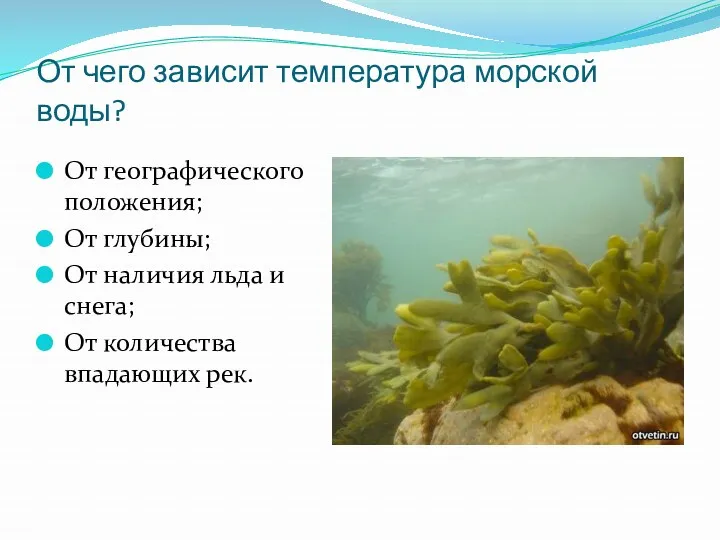 От чего зависит температура морской воды? От географического положения; От