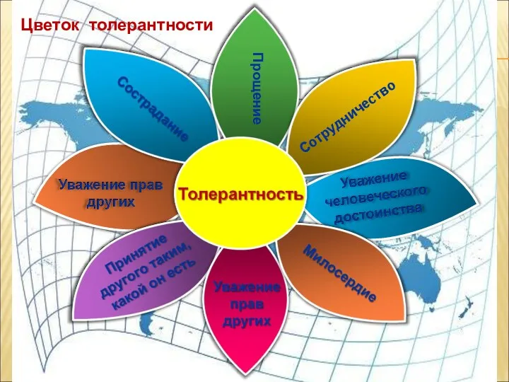 Сотрудничество Прощение Цветок толерантности