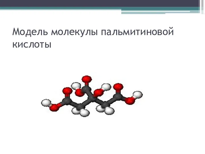Модель молекулы пальмитиновой кислоты