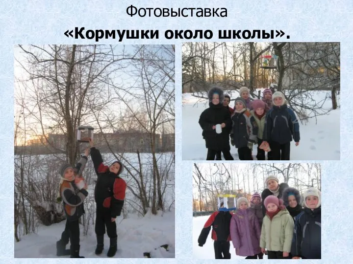 Фотовыставка «Кормушки около школы».