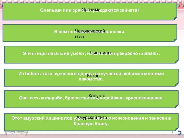 Слепыми или зрячими рождаются зайчата? Зрячими В нем есть колбочки