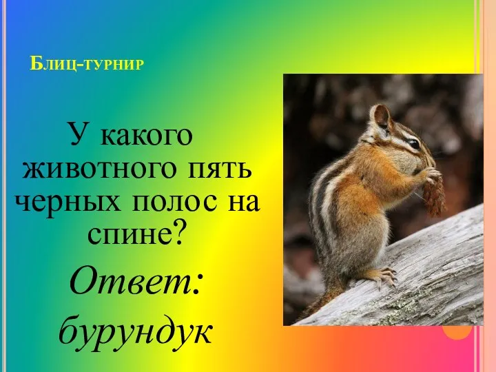 Блиц-турнир У какого животного пять черных полос на спине? Ответ: бурундук