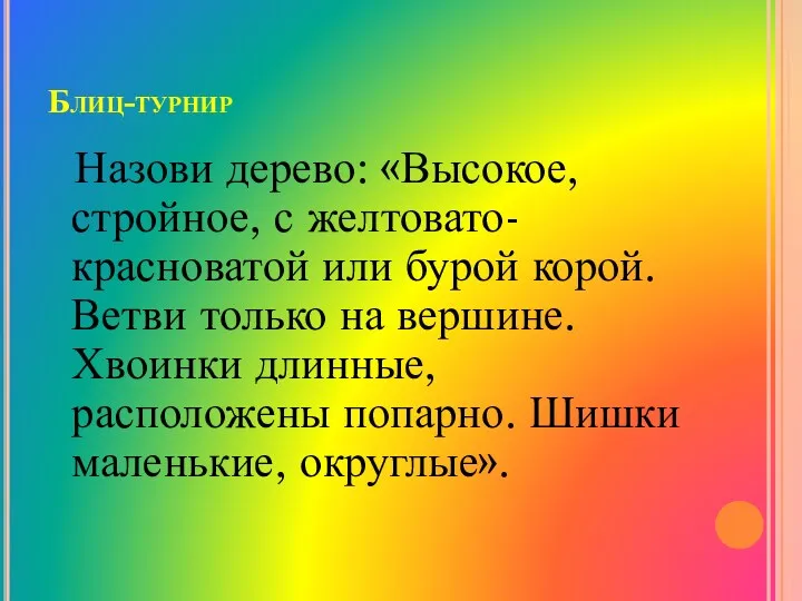 Блиц-турнир Назови дерево: «Высокое, стройное, с желтовато-красноватой или бурой корой. Ветви только на