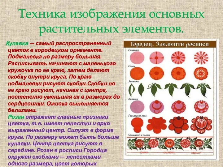 Техника изображения основных растительных элементов. Купавка — самый распространенный цветок в городецком орнаменте.
