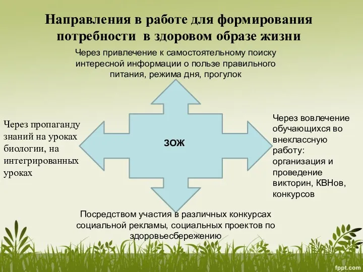 Направления в работе для формирования потребности в здоровом образе жизни