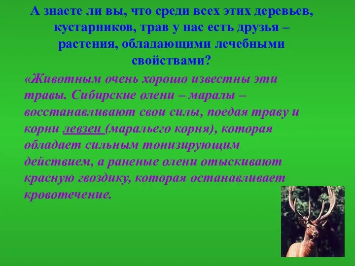 А знаете ли вы, что среди всех этих деревьев, кустарников, трав у нас