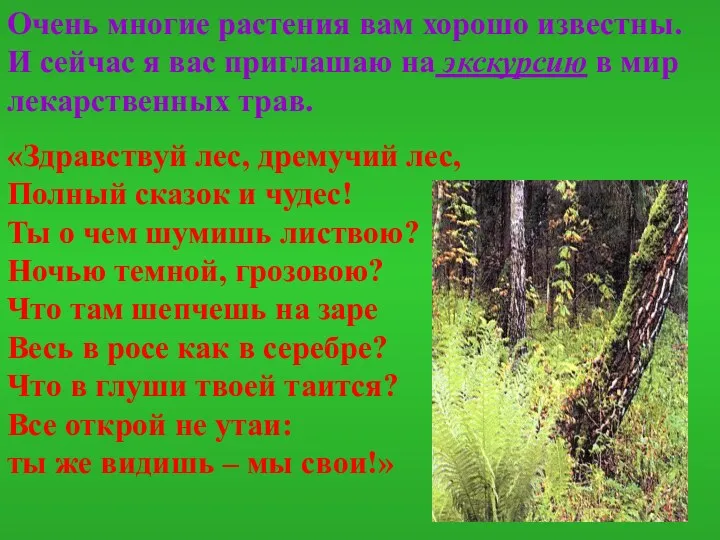 Очень многие растения вам хорошо известны. И сейчас я вас приглашаю на экскурсию