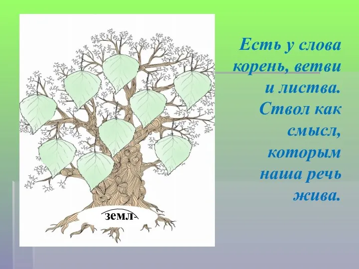 Есть у слова корень, ветви и листва. Ствол как смысл, которым наша речь жива. земл-