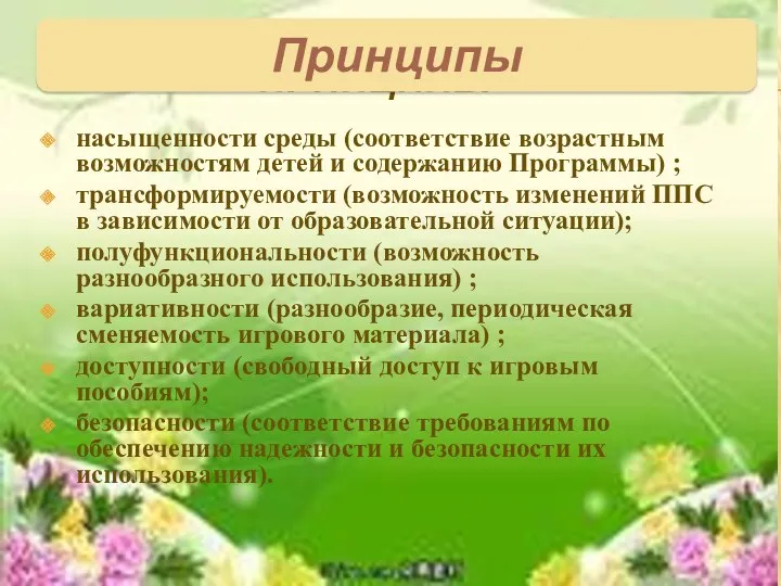 Принципы насыщенности среды (соответствие возрастным возможностям детей и содержанию Программы)