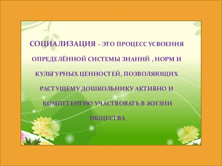 Социализация – это процесс усвоения Определённой системы знаний , норм