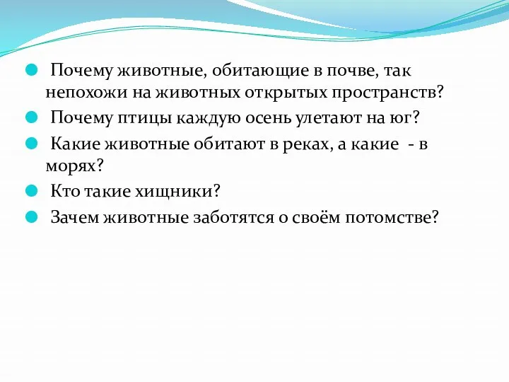 Почему животные, обитающие в почве, так непохожи на животных открытых