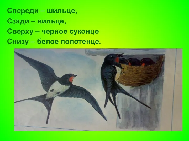 Спереди – шильце, Сзади – вильце, Сверху – черное суконце Снизу – белое полотенце.